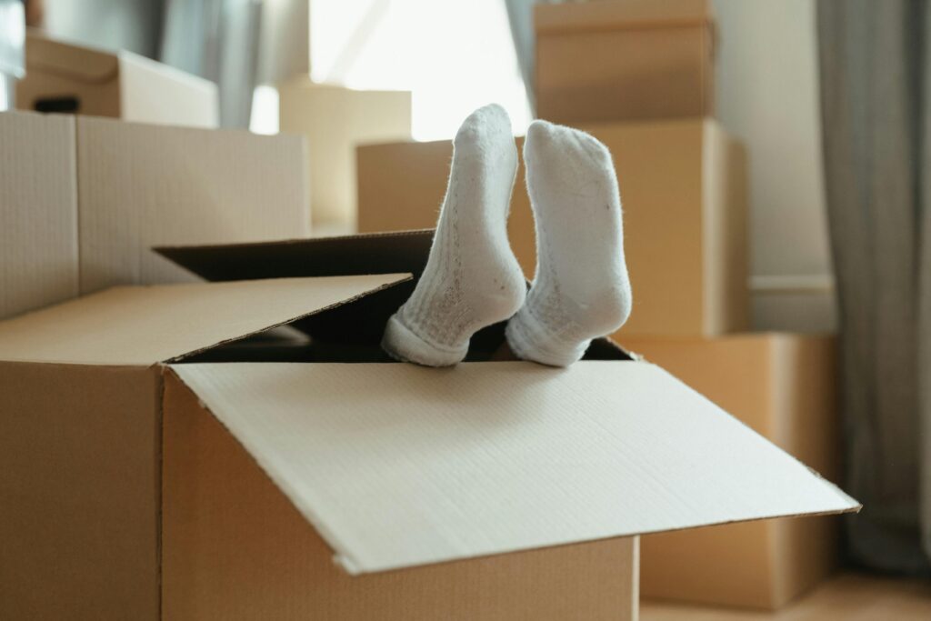 houses to rent in Thornton heath